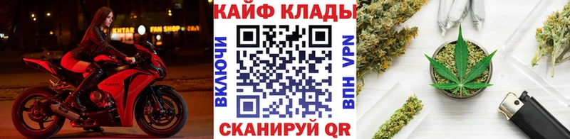 Псилоцибиновые грибы Вологда