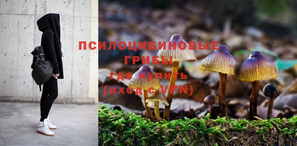 дмт Алексеевка