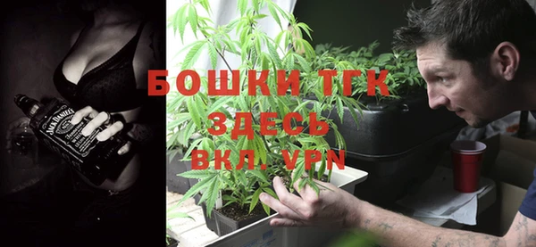 дмт Алексеевка