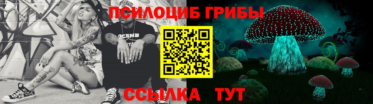 Вологда  Галлюциногенные грибы Cubensis  Галлюциногенные грибы Cubensis  Вход с VPN 