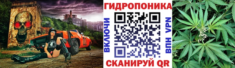 купить наркотик  Вологда  МАРИХУАНА Amnesia 
